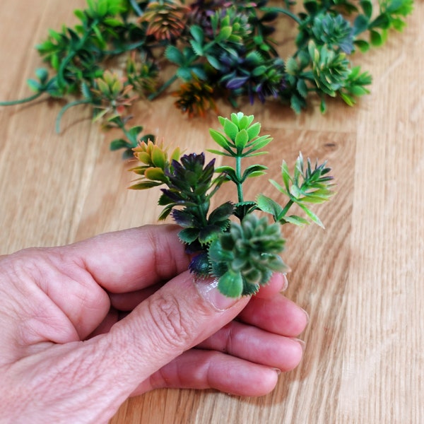 30 Mini Fake Succulent branches