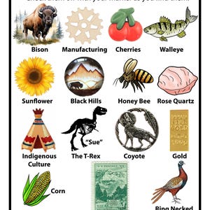 Peut inclure: Une carte de jeu I Spy South Dakota illustrant un bison, un engrenage, des cerises, un dor&eacute; jaune, un tournesol, les Black Hills, une abeille, du quartz rose, un tipi, un squelette de T-Rex, un coyote, un lingot d'or, du ma&iuml;s, un timbre.