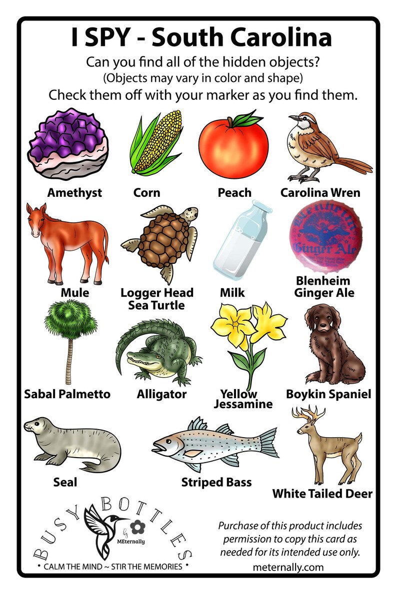Peut inclure: Une carte d'activit&eacute; I SPY South Carolina illustrant une am&eacute;thyste, du ma&iuml;s, une p&ecirc;che, un troglodyte de Caroline, une mule, une tortue caouanne, une bouteille de lait, un bouchon Blenheim Ginger Ale, un chou palmiste, un alligator, du jasmin jaune, un &eacute;pagneul Boykin, un phoque, un bar ray&eacute; et un cerf de Virginie.