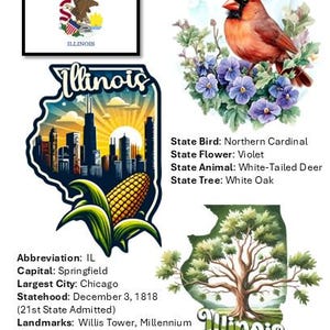Peut inclure: Un collage graphique pr&eacute;sentant le drapeau de l'&Eacute;tat de l'Illinois, un cardinal rouge perch&eacute; sur des violettes, la silhouette de Chicago avec un &eacute;pi de ma&iuml;s et un ch&ecirc;ne blanc, le tout accompagn&eacute; de faits et symboles de l'&Eacute;tat.