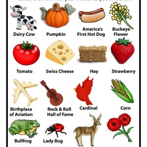 Peut inclure: Une carte de jeu I Spy Ohio pr&eacute;sentant une grille de seize illustrations incluant une vache laiti&egrave;re, une citrouille, un hot-dog, une fleur de marronnier, une tomate, du fromage suisse, du foin, une fraise, un avion, une guitare, un cardinal, du ma&iuml;s, une grenouille, une coccinelle, un cerf et un &oelig;illet rouge.