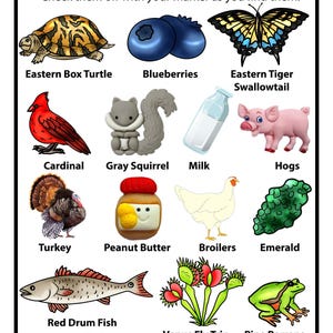 Peut inclure: Une carte de jeu I Spy North Carolina illustrant une tortue bo&icirc;te, des myrtilles, un papillon porte-queue, un cardinal, un &eacute;cureuil gris, une bouteille de lait, un cochon, une dinde, du beurre de cacahu&egrave;te, un poulet, une &eacute;meraude, un tambour rouge, une dion&eacute;e et une rainette.