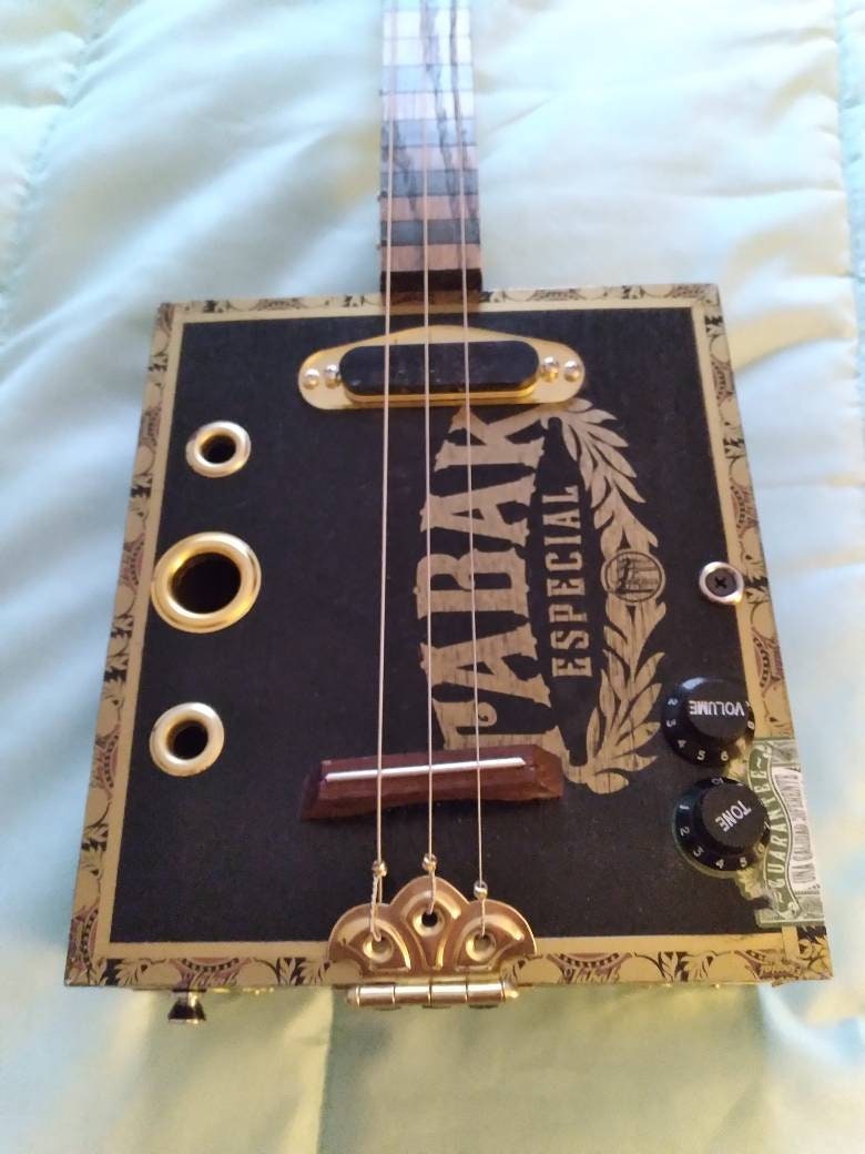 Amazon.com: Hinkler 3 String Electric Blues Box Slide Guitar Kit (EBB) :  Musical Instruments