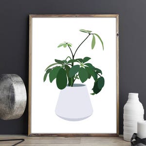 Botanical Wall Art, 9 Indoor house plant illustrations