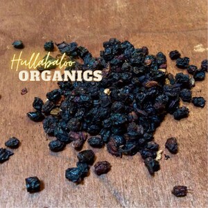Elderberries, 2x 1 pound bags Dried, very fresh, grown in Belgium ~ Wild Harvested ~   *The Famous Ones!*