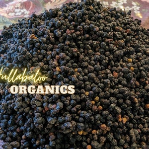 Organic Whole Wild Crafted Elderberries, 1 LB  Dried, very fresh, grown in Europe ~ Free Priority Mail Shipping