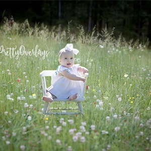 Sweet wildflowers overlay