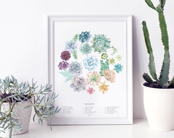 Succulent Cactus Art Print, wall art, wall decor, bedroom decor, home decor, botanical print, watercolor painting, cactus decor, plant decor