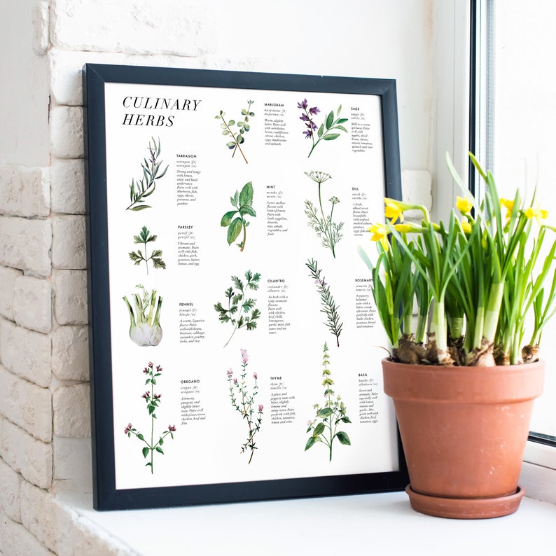Culinary Herbs Printable Kitchen Decor Wall Art Wall - Etsy