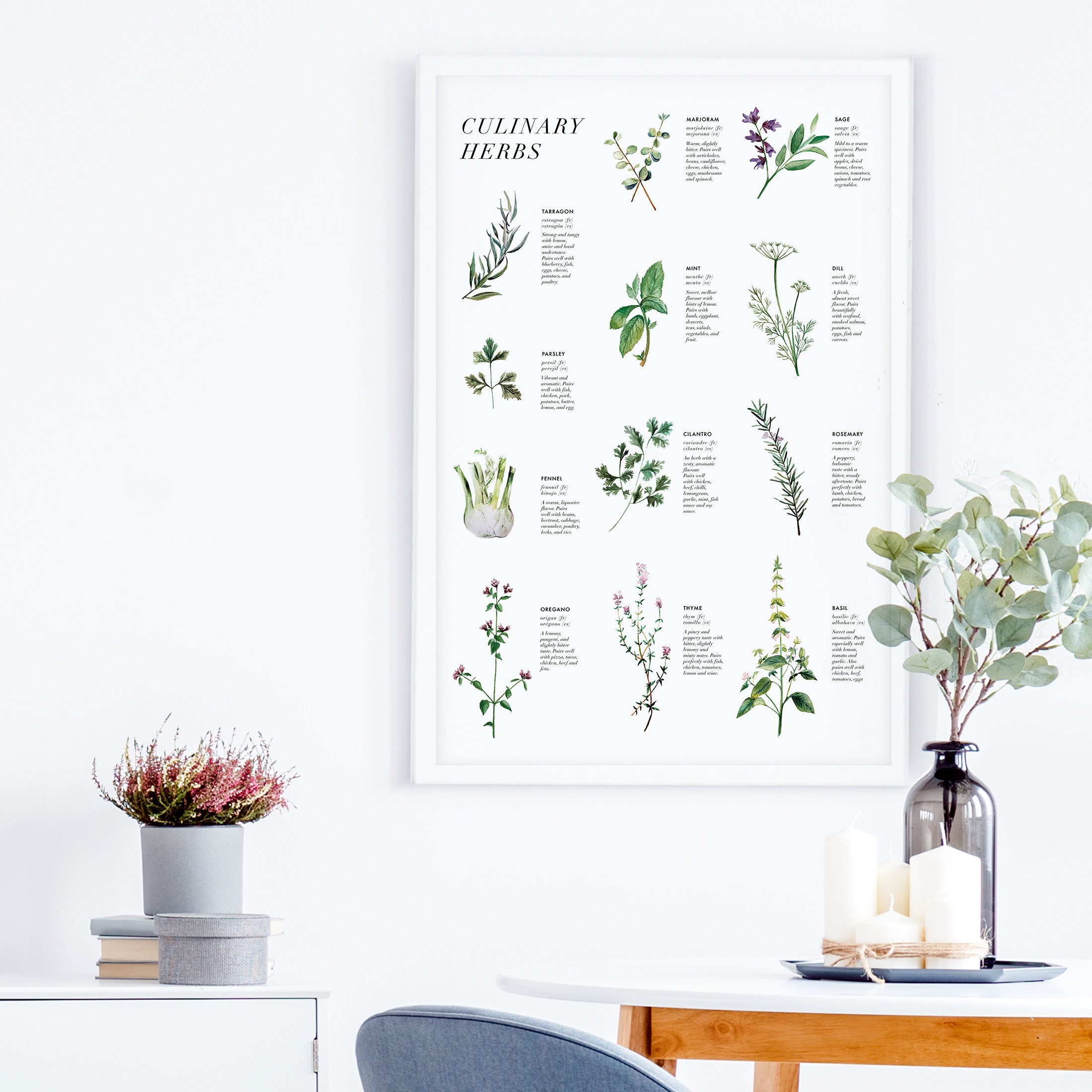 Herbs & Spices Art Print Set: Kitchen Watercolor Botanical Decor - Etsy
