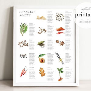 Watercolor Culinary Spices Print: Kitchen Herb Art (Digital Download)