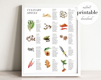 Watercolor Culinary Spices Print: Kitchen Herb Art (Digital Download)