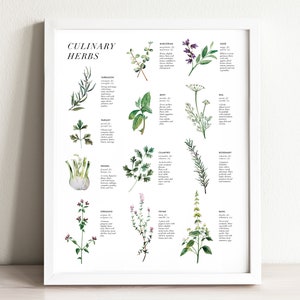 Culinary Herbs Art Print: Watercolor Kitchen Decor