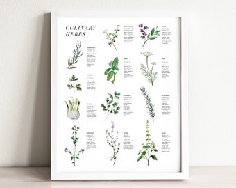 Herbs Art Print, wall art, wall decor, kitchen decor, kitchen art, home decor, watercolor painting, botanical print, infographic, herb print