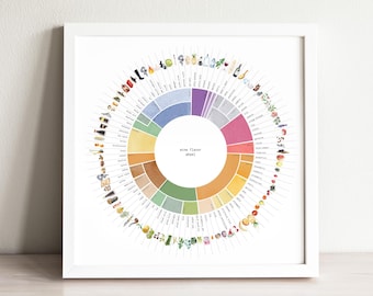 Wine Flavor Wheel Art Print: Kitchen Watercolor Painting