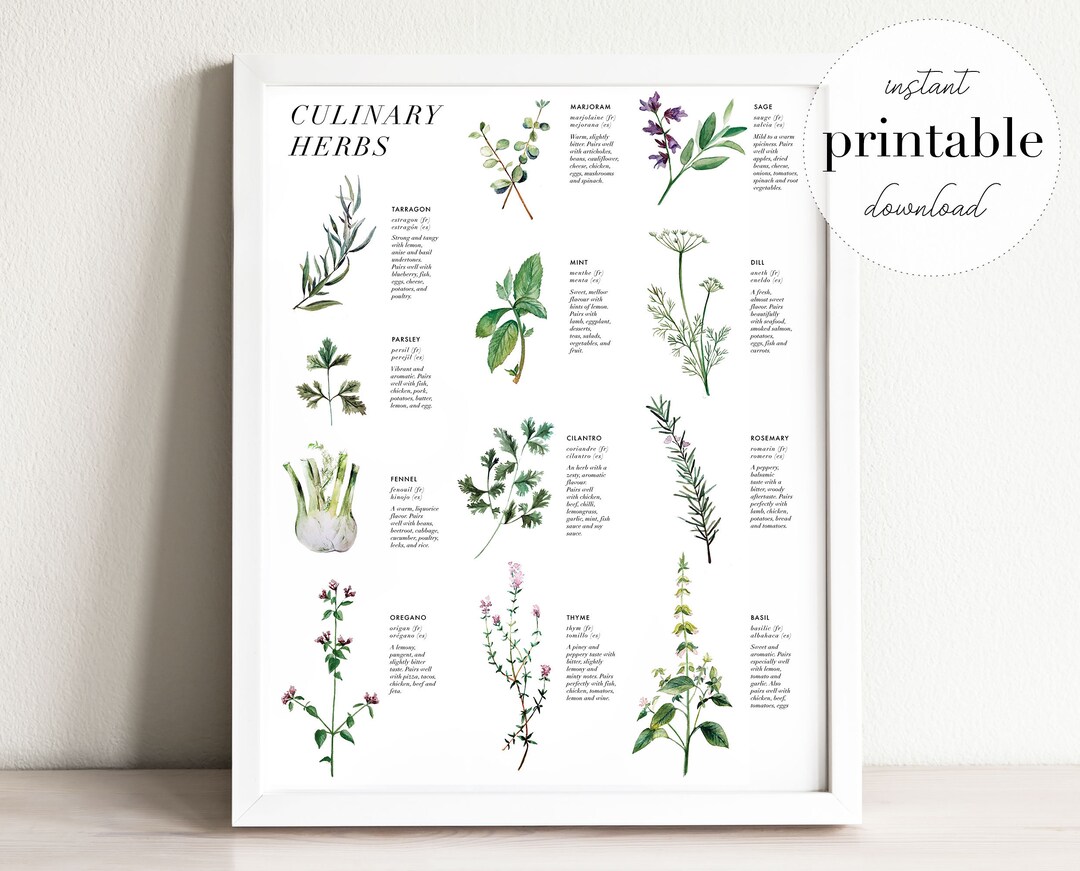 Culinary Herbs Printable | Kitchen Decor, Wall Art, Wall Decor ...