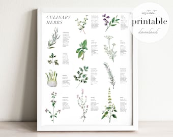 Watercolor Culinary Herbs Print: Kitchen Wall Art (Digital Download)