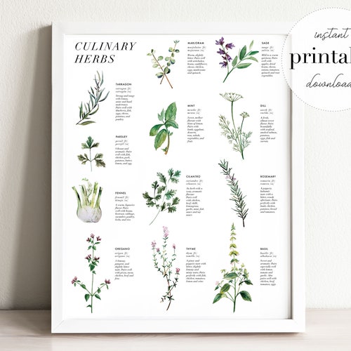 Culinary Herbs Printable Kitchen Wall Art Botanical Print - Etsy