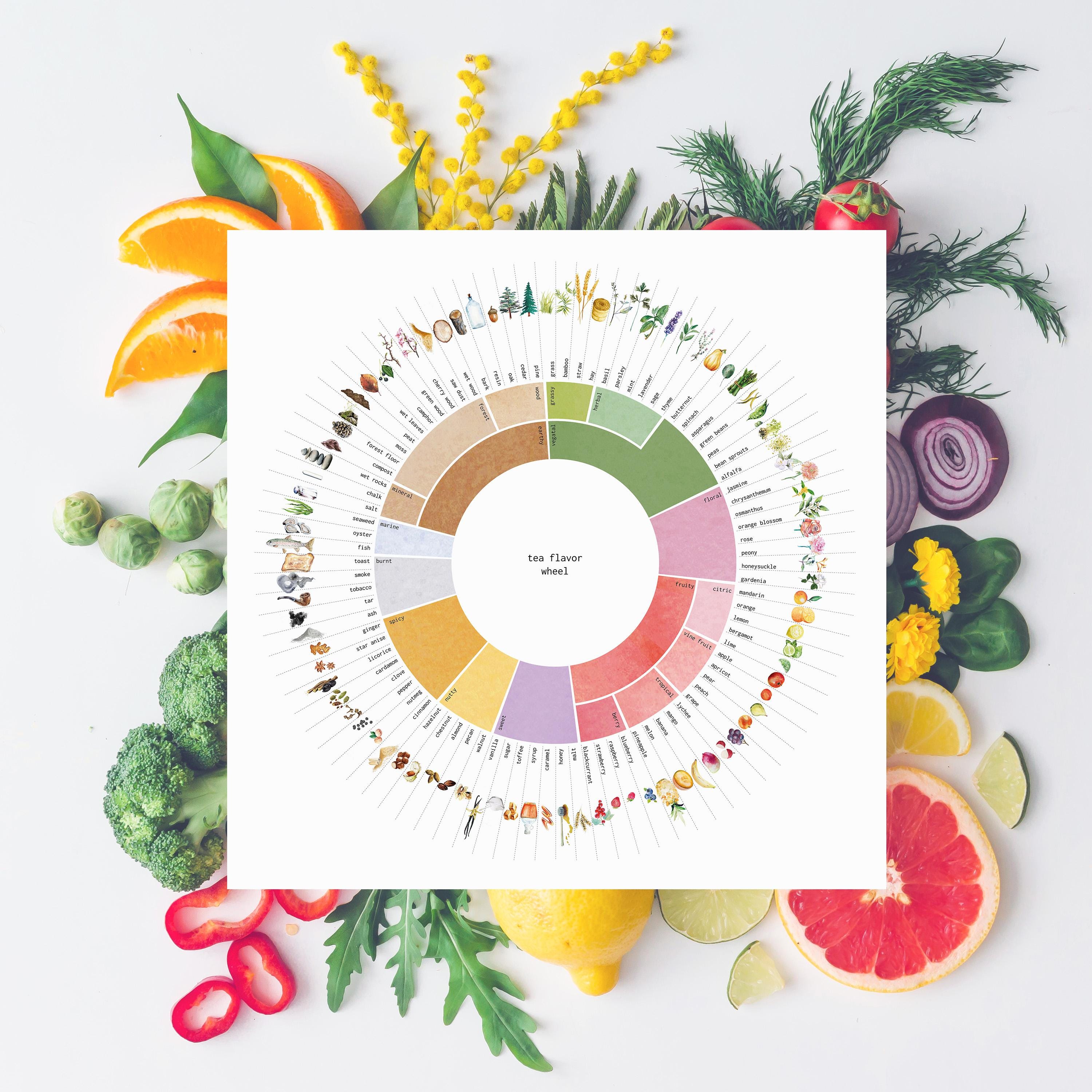 Tea Flavor Wheel Art Print: Watercolor Kitchen Decor (digital Download ...