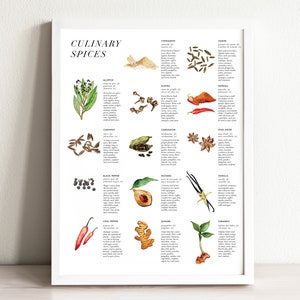 Culinary Spices Art Print: Watercolor Kitchen Decor