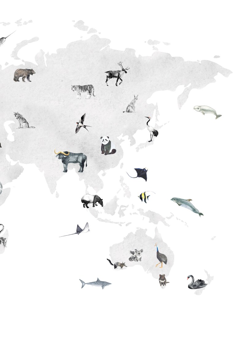 Canvas Map Wall Decor Kids World Map Nursery Decor World Map Travel Art Kids Room Black White Animal World Map On Canvas Wall Art Visual Arts Craft Supplies Tools Cospicon Com