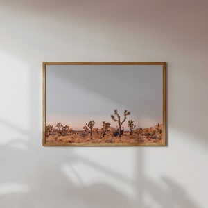 Sunset Views in Joshua Tree National Park, California: Digital Download Print by Arielle Vey