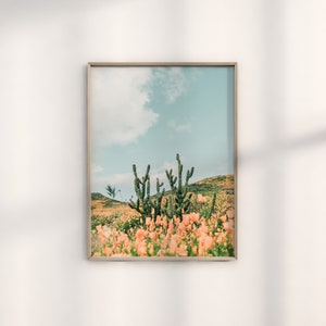 K&ouml;nnte beinhalten: Ein gerahmtes Foto einer W&uuml;stenlandschaft mit einer Gruppe von Kakteen im Vordergrund und einem Feld mit rosa Bl&uuml;ten. Der Himmel ist hellblau mit wei&szlig;en Wolken.