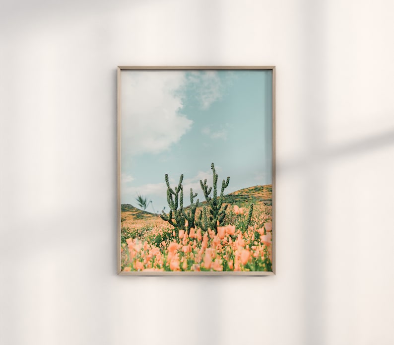 K&ouml;nnte beinhalten: Ein gerahmtes Foto einer W&uuml;stenlandschaft mit einer Gruppe von Kakteen im Vordergrund und einem Feld mit rosa Bl&uuml;ten. Der Himmel ist hellblau mit wei&szlig;en Wolken.