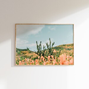 K&ouml;nnte beinhalten: Ein gerahmtes Foto einer W&uuml;stenlandschaft mit einer Gruppe von Kakteen im Vordergrund. Die Kakteen sind von einem Feld mit rosa Wildblumen umgeben. Der Himmel ist blau mit wei&szlig;en Wolken.