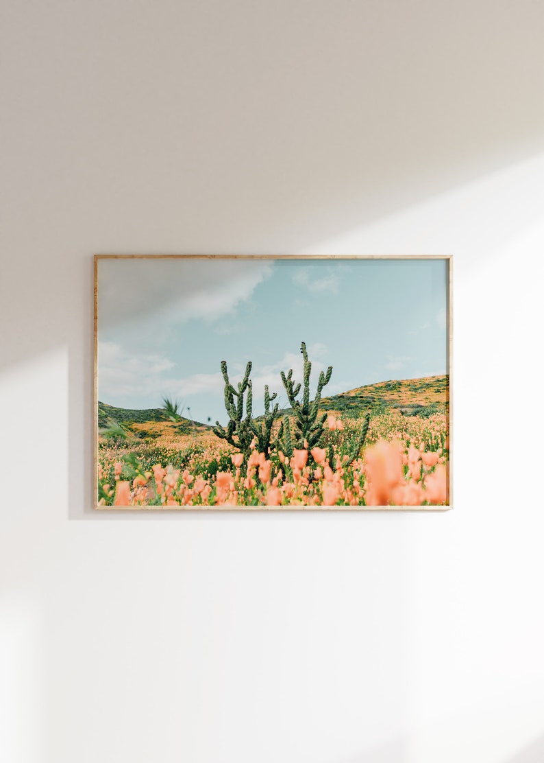 K&ouml;nnte beinhalten: Ein gerahmtes Foto einer W&uuml;stenlandschaft mit einer Gruppe von Kakteen im Vordergrund. Die Kakteen sind von einem Feld mit rosa Wildblumen umgeben. Der Himmel ist blau mit wei&szlig;en Wolken.