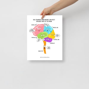 How Traumatic Brain Injury Affects Different Parts of Brain Poster