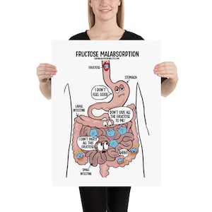 Rolig tecknad diagramposter för fruktosmalabsorption