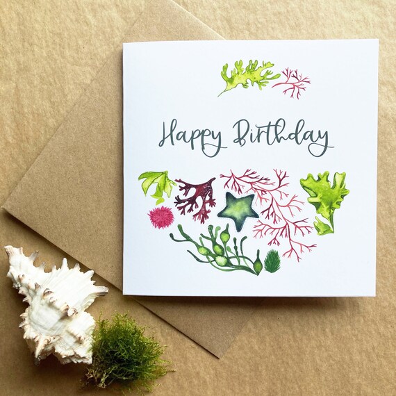 Happy Birthday Card - Seaweed and Starfish Illustration - Premium Art Card Printed On Sustainable Materials