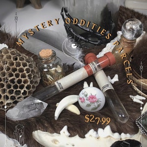 Oddities Mystery Box! | Trinkets and Treasures | Natural Curiosities | Unique Gift! | Collectible Oddities Parcel