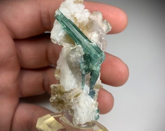 May include: A cluster of green and blue tourmaline crystals on a white matrix, mounted on a clear plastic base.