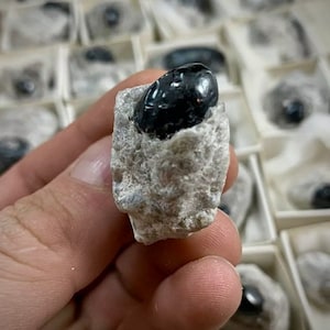 Obsidian In Perlite Matrix! 1 Piece Apache Tear Mineral Sample. 100% Natural