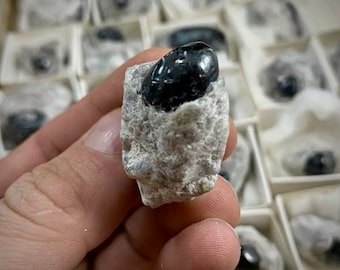 Obsidian in Perlit Matrix! 1 Stück Apache Tear Mineral Probe. 100% Natürlich