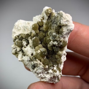 RARE! 21g Wavellite on Frankolite Mineral Specimen. Polk Co., Florida. Unique Mineral Sample!