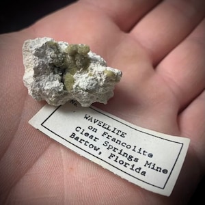Rare! WAVELLITE on Frankolite Specimen. 5.73g Bartow Florida.