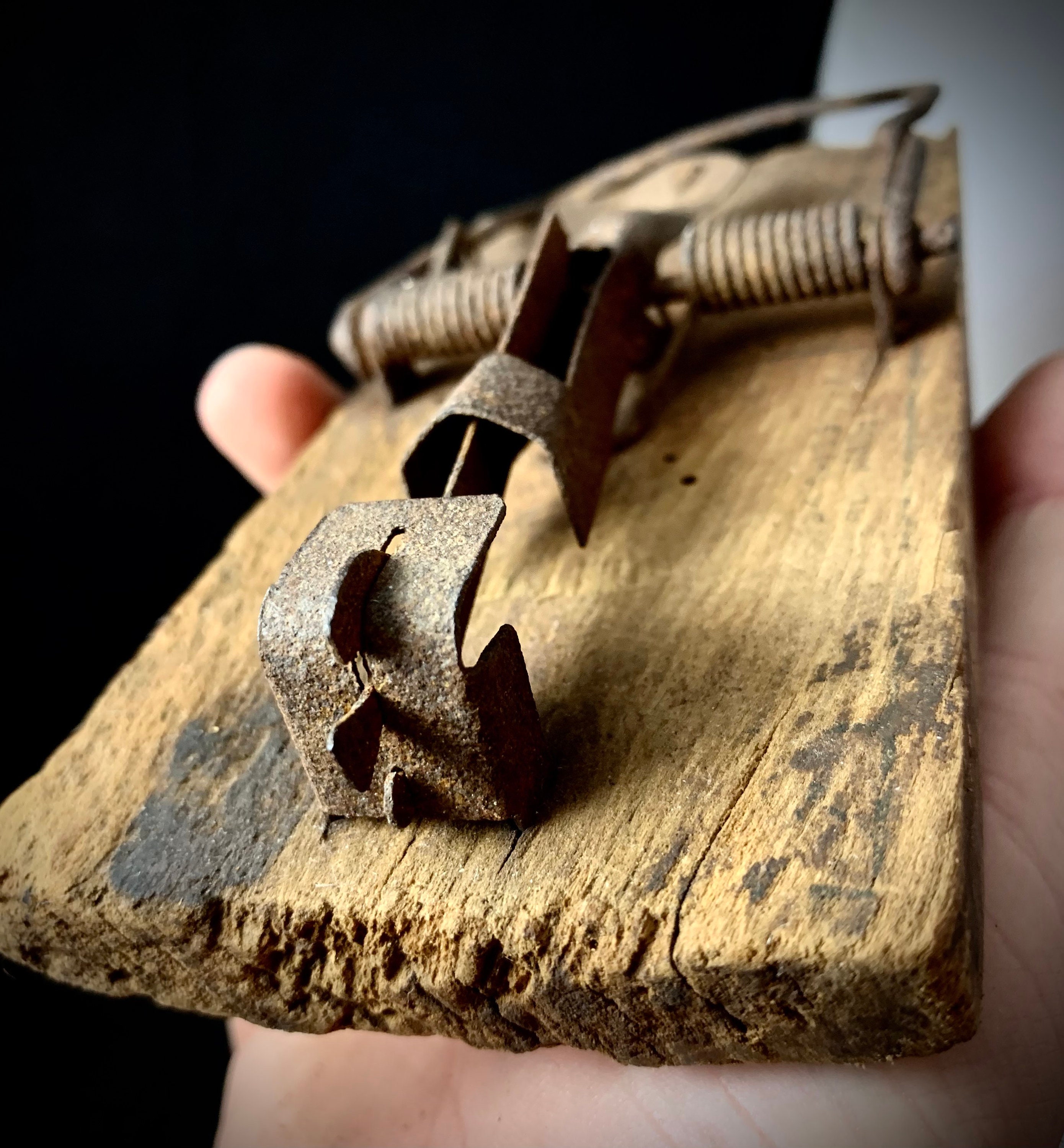 Antique Rabbit Traps for sale | Only 4 left at -65%