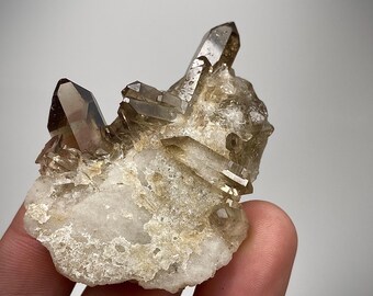 Smoky Quartz Crystal Cluster: Natural Specimen, Champagne Color - Brazil