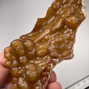 May include: A large, brown, agate geode with a bubbly, textured surface. The geode is translucent and has a light brown color.