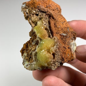 May include: A cluster of bright green and yellow crystals embedded in a rough, brown rock. The crystals have a unique, spiky texture.