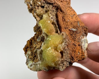 メキシコ、ドゥランゴ州マピミ、オフエラ鉱山産、リモナイト上の