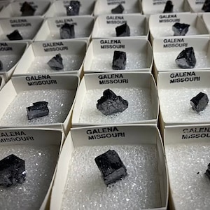 Cubic Galena Crystal Mineral Sample - Missouri