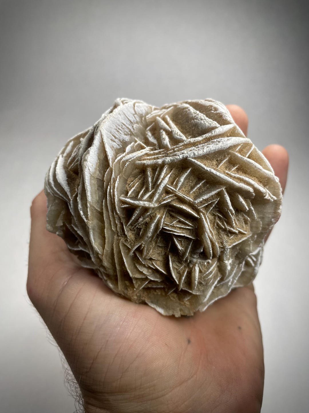 Desert Rose Gypsum Crystal Specimen: Morocco Mineral Display - Etsy