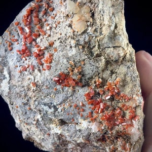 May include: A close-up of a rock with clusters of small, bright red crystals. The crystals are scattered across the surface of the rock, which is a light gray color.