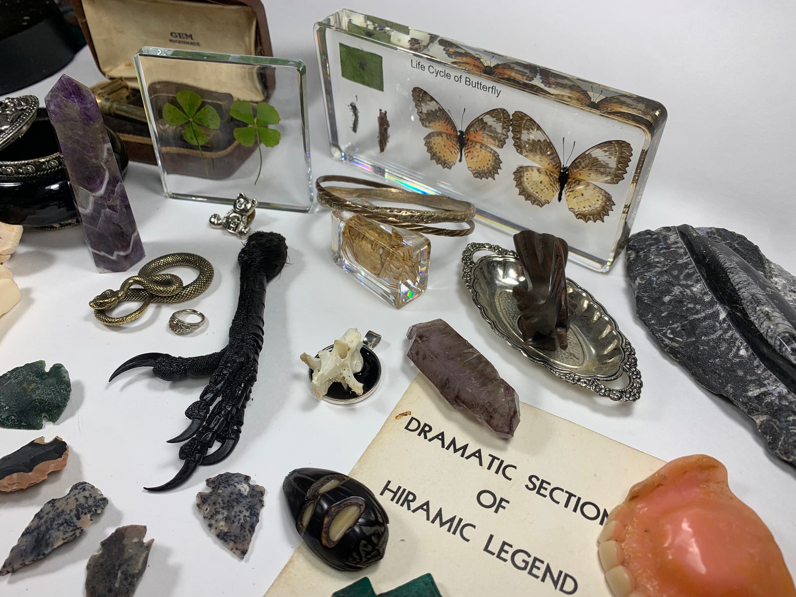 Oddities and Curiosities Collection: 30 Unique Trinkets & Treasures - Etsy
