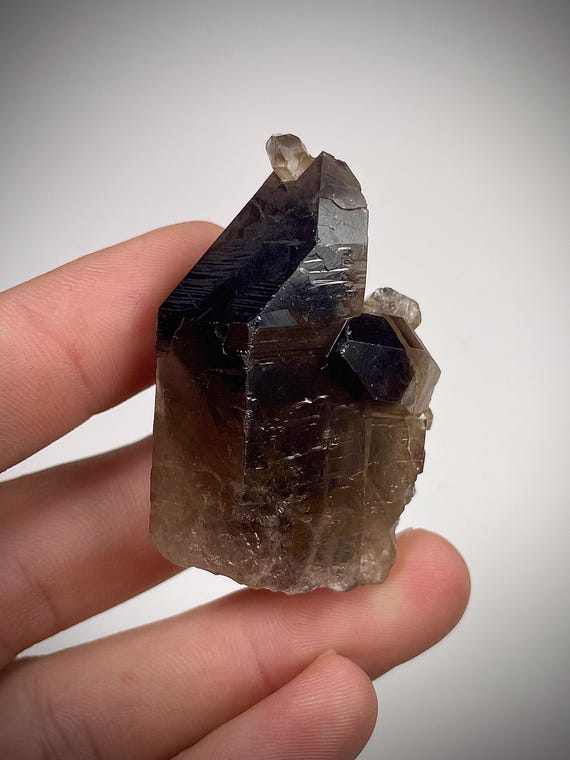 モリオンスモーキークォーツ結晶標本：ユニークな形成、ブラジル