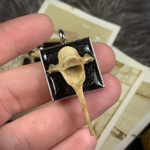 Unique Bone Pendant. 1pc. Handmade! Oddities. Gifts.